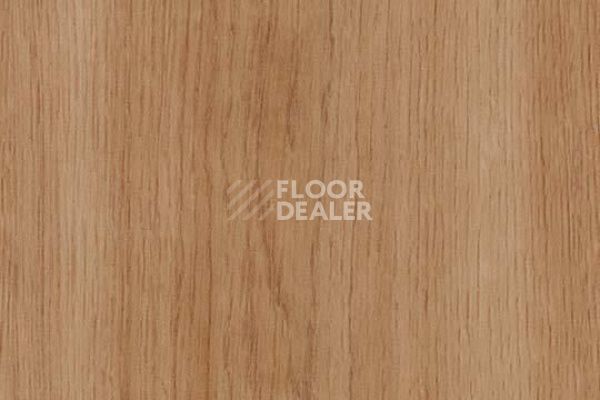 Виниловая плитка ПВХ FORBO Allura Decibel 8WSM04-3WSM04 traditional smooth oak фото 1 | FLOORDEALER